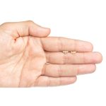 Libélula - Imagen 2