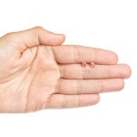 Catarina 1 - Imagen 2