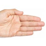 Estrella Silueta - Imagen 2