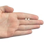 Oso Circonia - Imagen 2